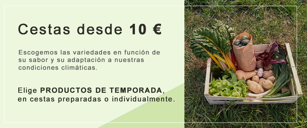 huerto ecológico bilbao